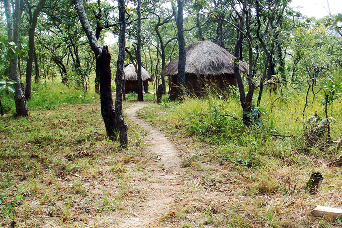 bungalows im wald in lavushi manda