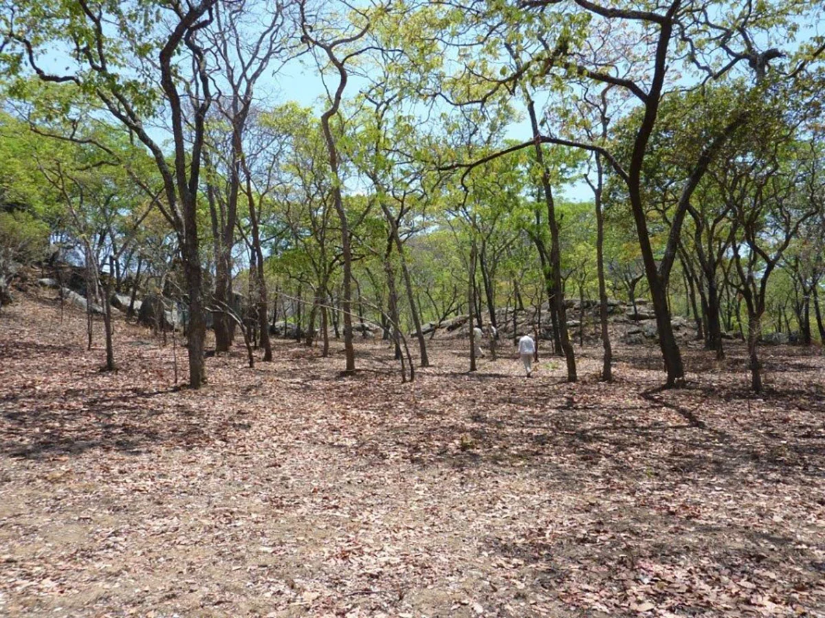 lavushi manda nationalpark sambia